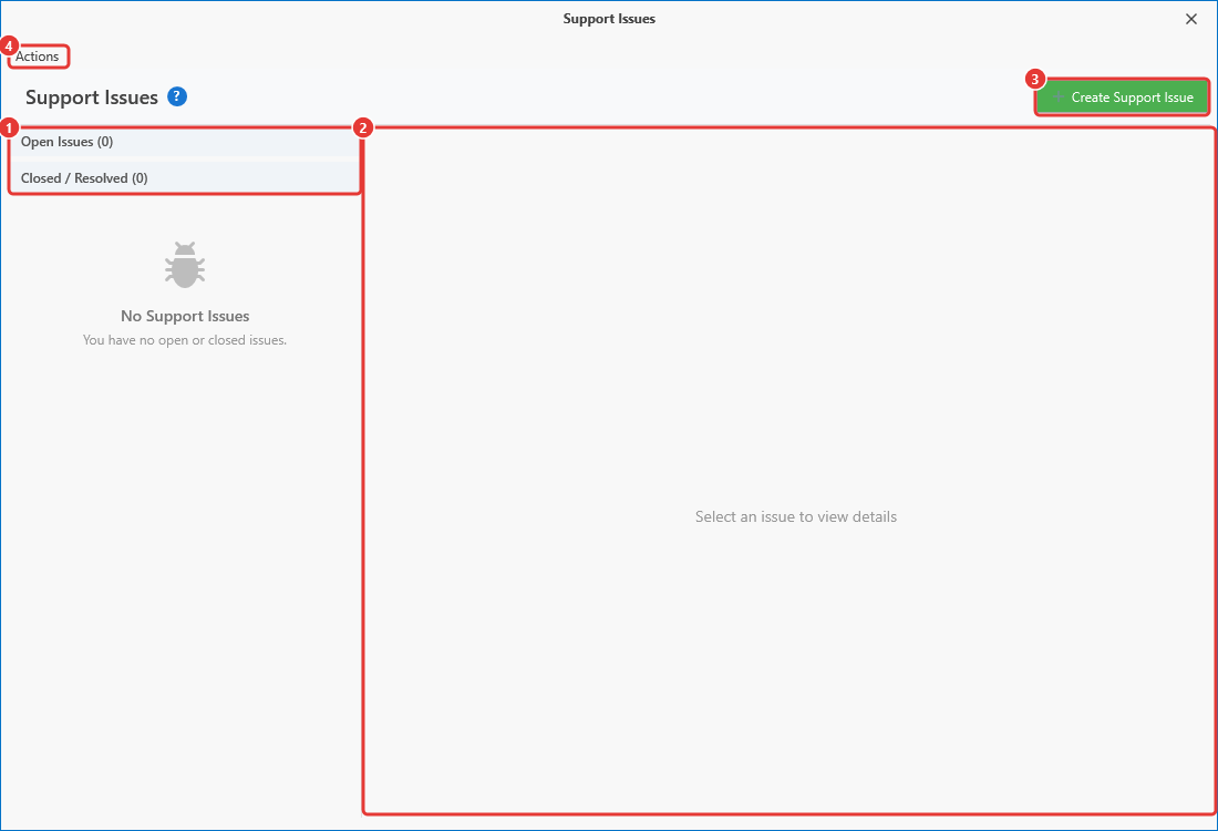 Support Issues window